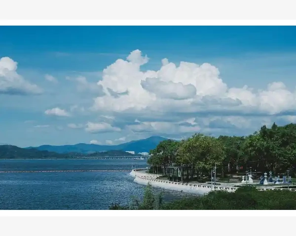 中药调理胃疼能止疼吗？