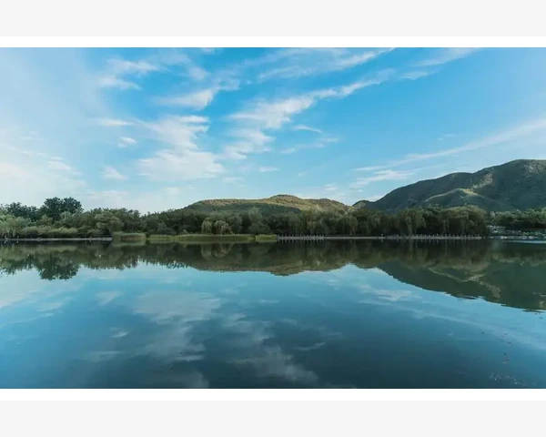 白萝卜煮水能否起到化痰的功效？