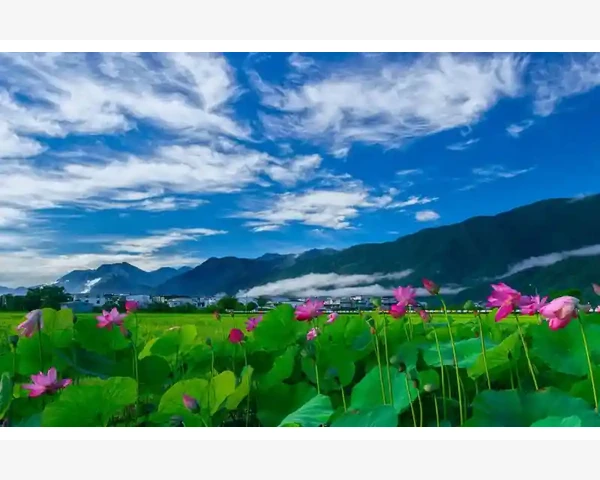 罚没收入会计分录编制要点与实务操作